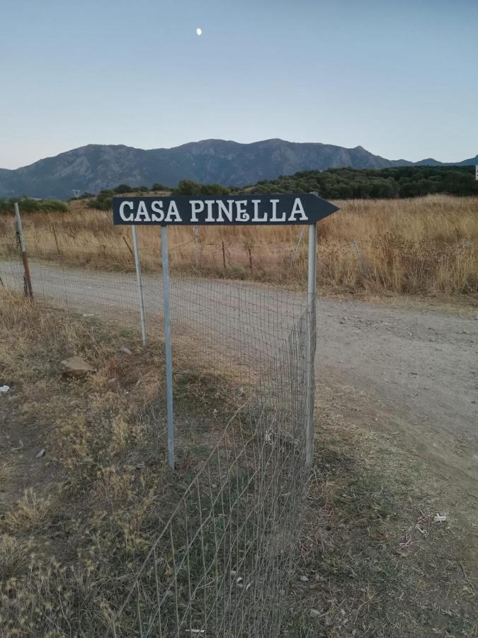 Casa Pinella Villa Villamassargia Exterior foto